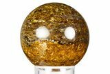 Golden Amphibolite Sphere - Western Australia #309146-1
